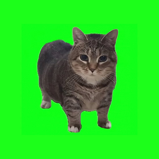 OIIA OIIA (Spinning Cat) - Jam Track